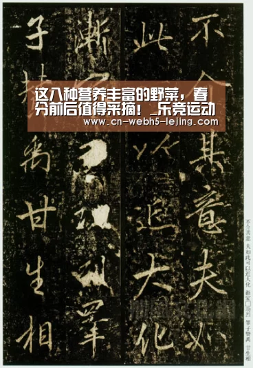 乐竞官网