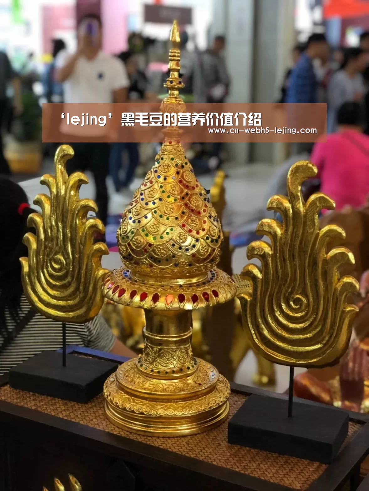 乐竞