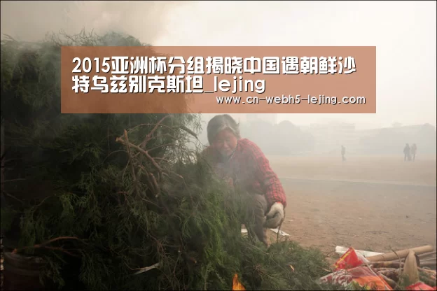 2015亚洲杯分组揭晓中国遇朝鲜沙特乌兹别克斯坦_lejing(图1)